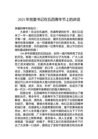 2025年党委书记在五四青年节上的讲话