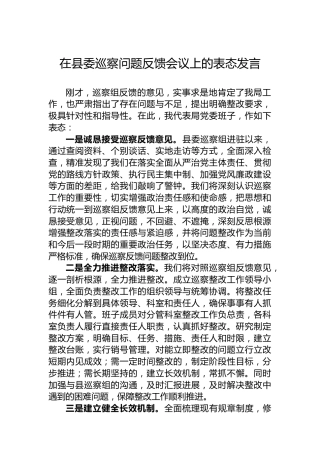 在县委巡察问题反馈会议上的表态发言