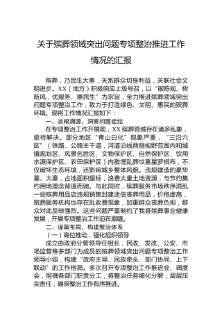关于殡葬领域突出问题专项整治推进工作情况的汇报