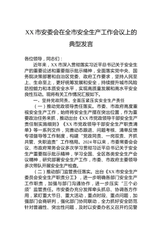 XX市安委会在全市安全生产工作会议上的典型发言