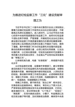 为推进纪检监察工作“三化”建设贡献审理之为