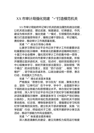 XX市审计局强化党建“”打造模范机关