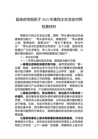 县政府党组班子2025年度民主生活会对照检查材料