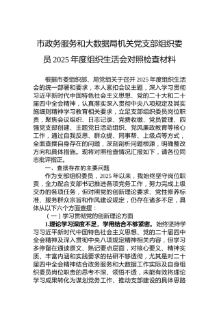 市政务服务和大数据局机关党支部组织委员2025年度组织生活会对照检查材料