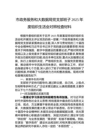 市政务服务和大数据局党支部班子2025年度组织生活会对照检查材料