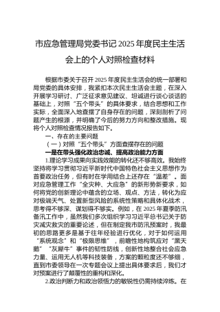 市应急管理局党委书记2025年度民主生活会上的个人对照检查材料