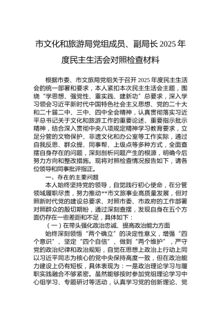 市文化和旅游局党组成员、副局长2025年度民主生活会对照检查材料