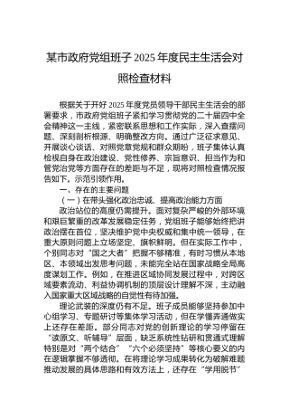 某市政府党组班子2025年度民主生活会对照检查材料
