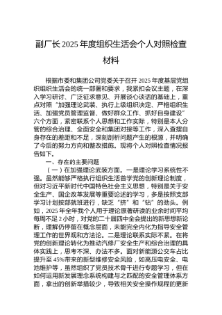 副厂长2025年度组织生活会个人对照检查材料