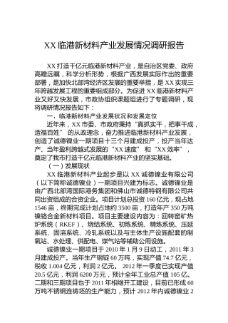 XX临港新材料产业发展情况调研报告
