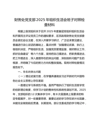 财务处党支部2025年组织生活会班子对照检查材料（六个方面）