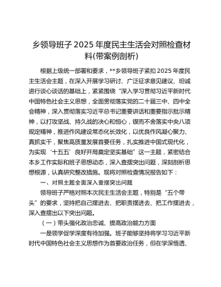乡领导班子2025年度民主生活会对照检查材料(带案例剖析)