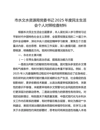 市水文水资源局党委书记2025年度民主生活会个人对照检查材料（五个带头）