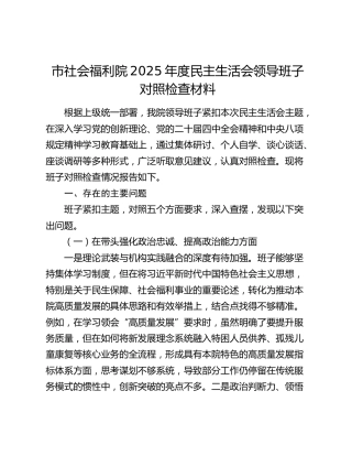 市社会福利院2025年度民主生活会领导班子对照检查材料（五个带头）