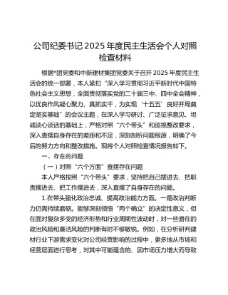 公司纪委书记2025年度民主生活会个人对照检查材料（六个带头+落实巡视整改责任情况+典型案例剖析）
