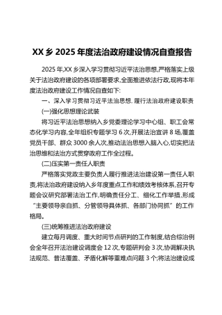 XX乡2025年度法治政府建设情况自查报告