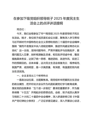 在参加下级党组织领导班子2025年度民主生活会上的点评讲话提纲