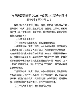 市县级领导班子2025年度民主生活会对照检查材料（五个带头）