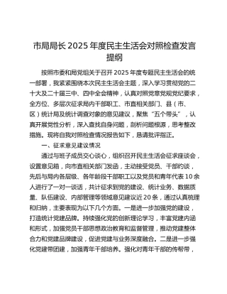 市局局长2025年度民主生活会对照检查发言提纲（征求意见建议情况+上年度查摆问题整改情况+五个带头）
