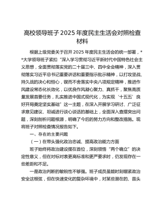 高校领导班子2025年度民主生活会对照检查材料（五个带头+意识形态+整治形式主义为基层减负情况）