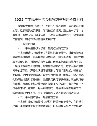 2025年度民主生活会领导班子对照检查材料（五个带头）