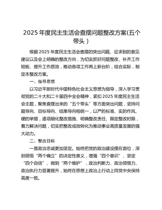 2025年度民主生活会查摆问题整改方案 (五个带头）