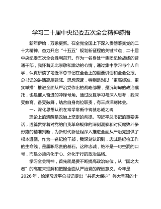 学习二十届中央纪委五次全会精神感悟（3）
