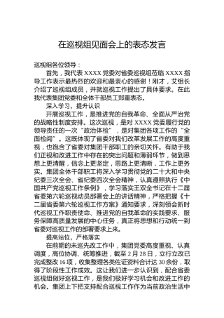 在巡视组见面会上的表态发言