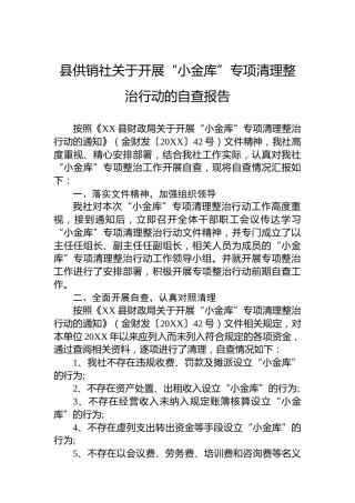 县供销社关于开展“小金库”专项清理整治行动的自查报告