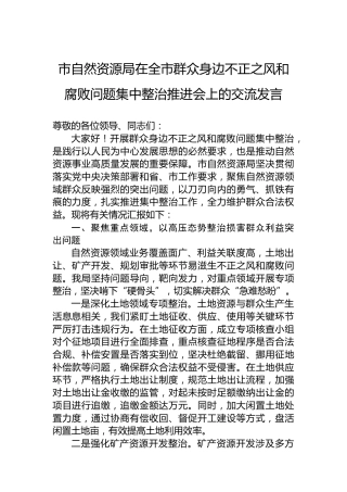 市自然资源局在全市群众身边不正之风和腐败问题集中整治推进会上的交流发言