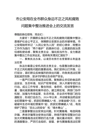 市公安局在全市群众身边不正之风和腐败问题集中整治推进会上的交流发言