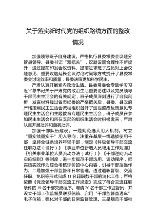关于落实新时代党的组织路线方面的整改情况