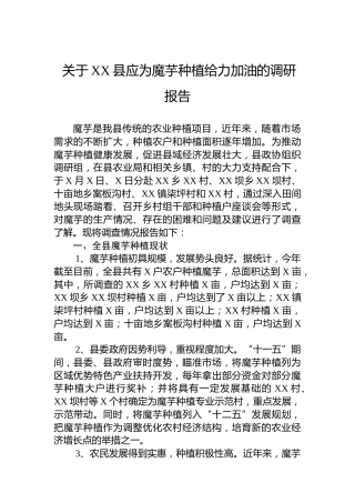 关于XX县应为魔芋种植给力加油的调研报告