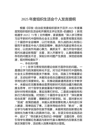 2025年度组织生活会个人发言提纲