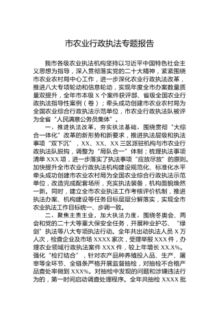 市农业行政执法专题报告