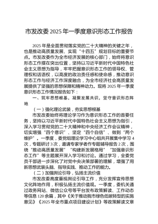 市发改委2025年一季度意识形态工作报告