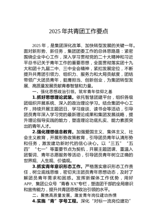 2025年共青团工作要点