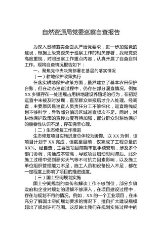 自然资源局党委巡察自查报告