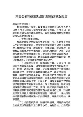 某县公安局巡察反馈问题整改情况报告