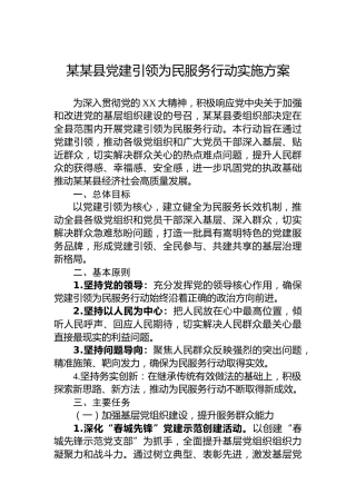 某某县党建引领为民服务行动实施方案