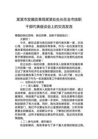 某某市发展改革局某某处处长在全市挂职干部代表座谈会上的交流发言