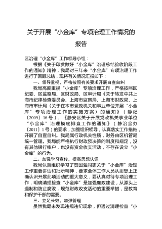 关于开展“小金库”专项治理工作情况的报告