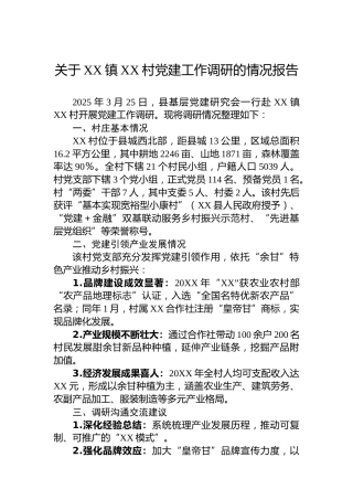 关于XX镇XX村党建工作调研的情况报告
