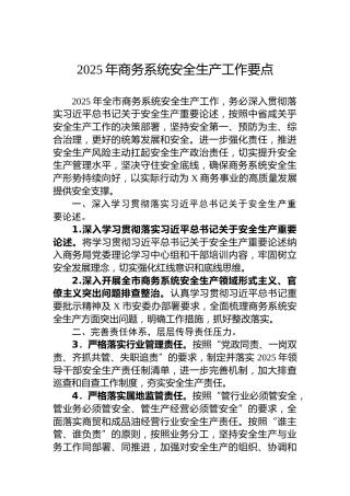 2025年商务系统安全生产工作要点