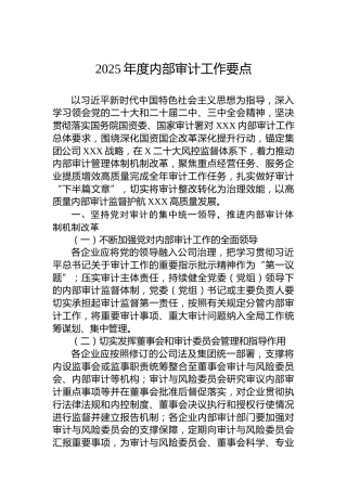 2025年度内部审计工作要点
