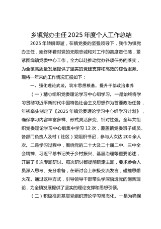 乡镇党办主任2025年度个人工作总结