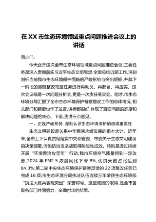 在XX市生态环境领域重点问题推进会议上的讲话