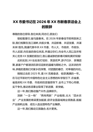 XX市委书记在2026年XX市新春茶话会上的致辞