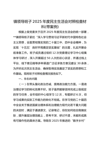 镇领导班子2025年度民主生活会对照检查材料(含案例)