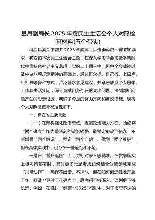 县区副局长2025年度民主生活会个人对照检查材料(五个带头)